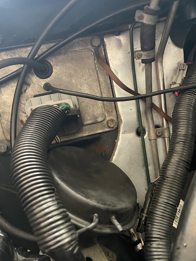 Whats this canister? XJS Jaglovers Forums