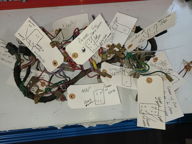 1 - Original Harness tagged to a faretheewell