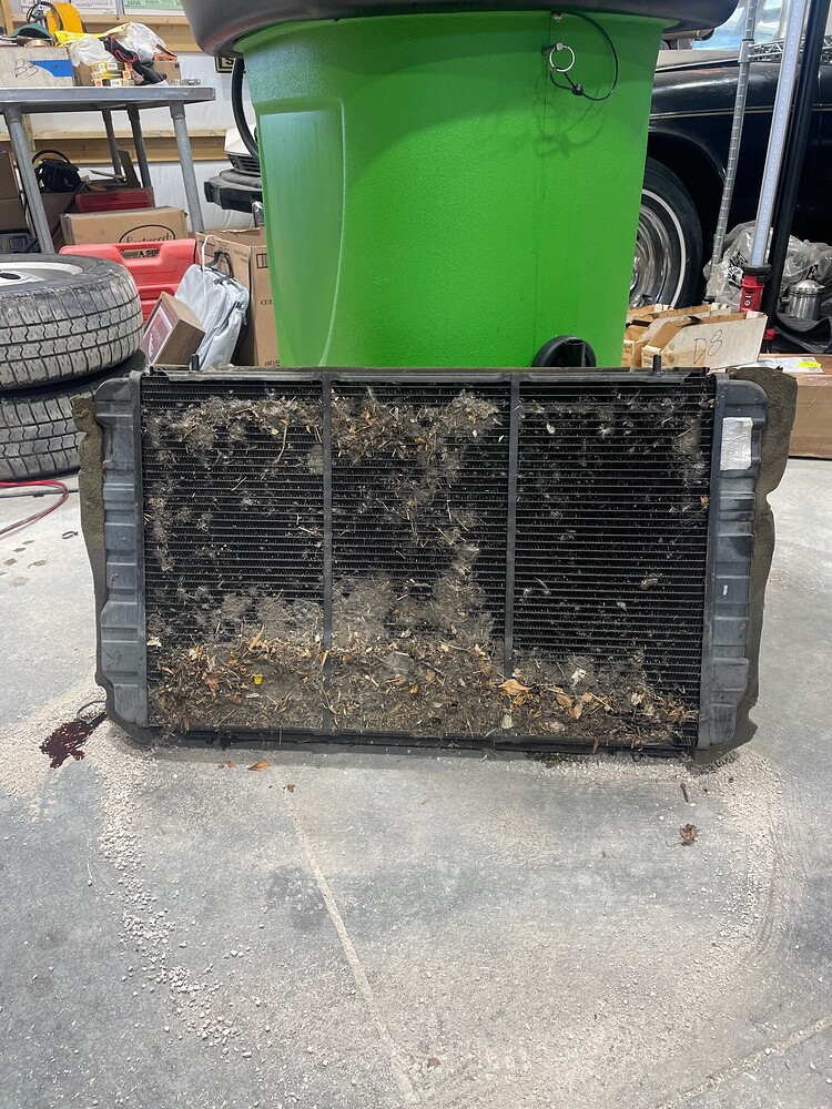 Electric fan temp sensor XJS Jaglovers Forums