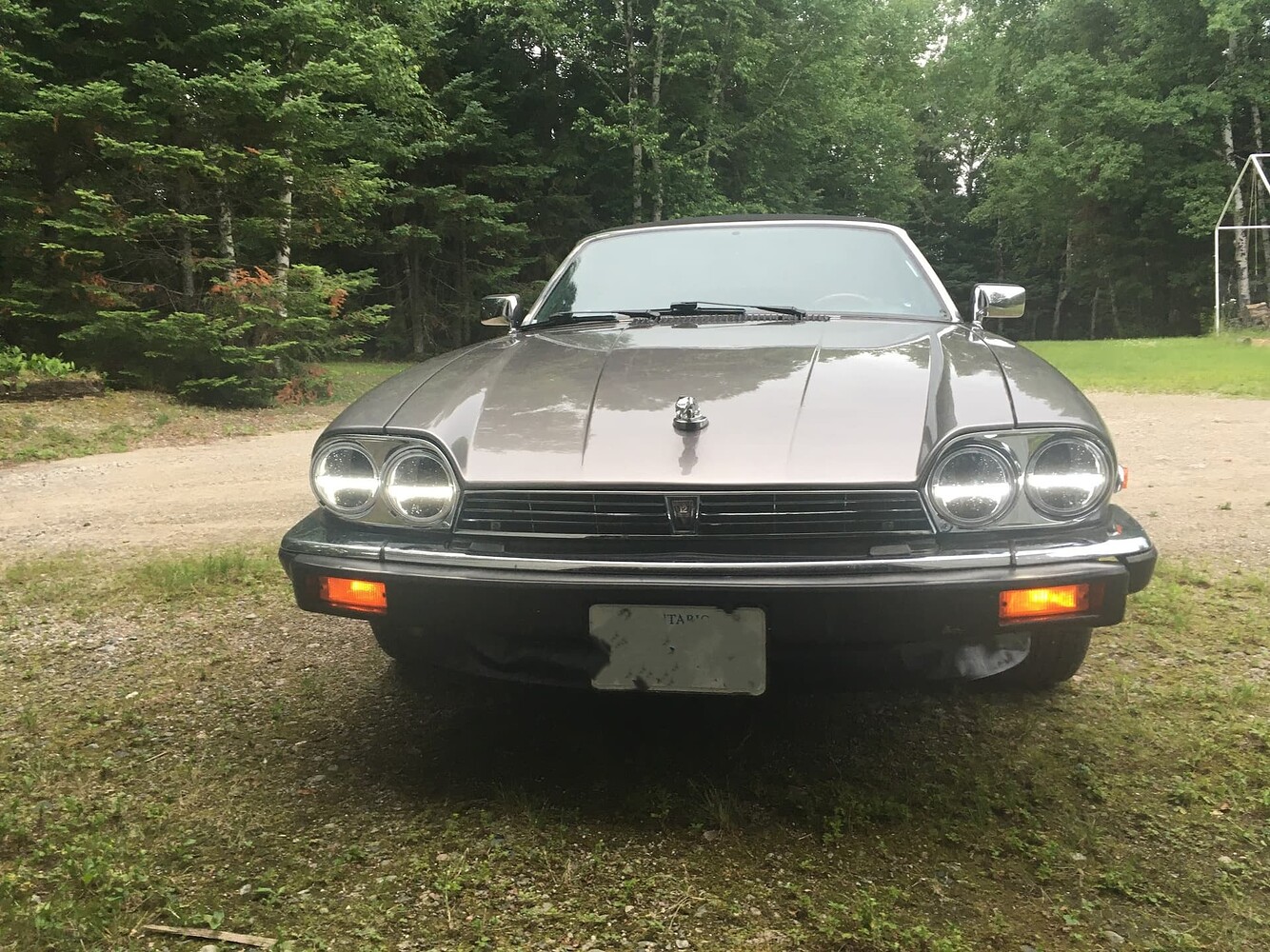 XJS Headlight Conversion XJS Jaglovers Forums