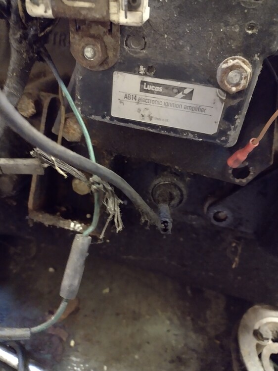 Series3 ignition module, XJ Jaglovers Forums