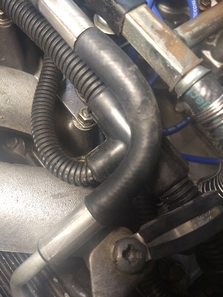 Melt mark in fuel hose? XJS Jaglovers Forums