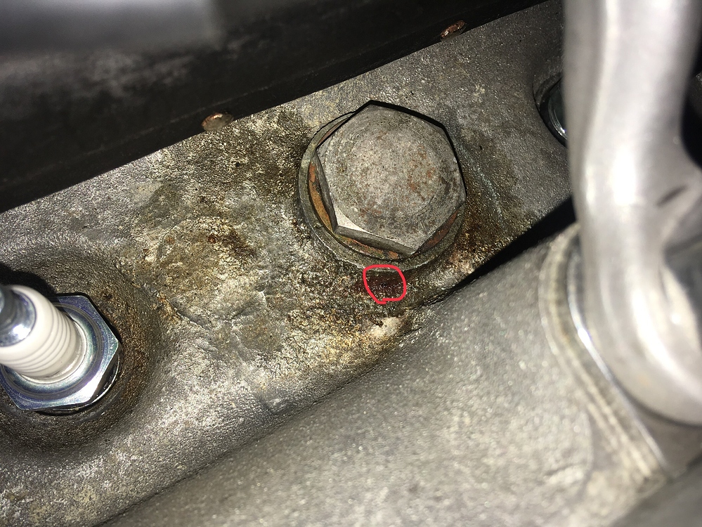 Cylinder head leak XKEngine Jaglovers Forums