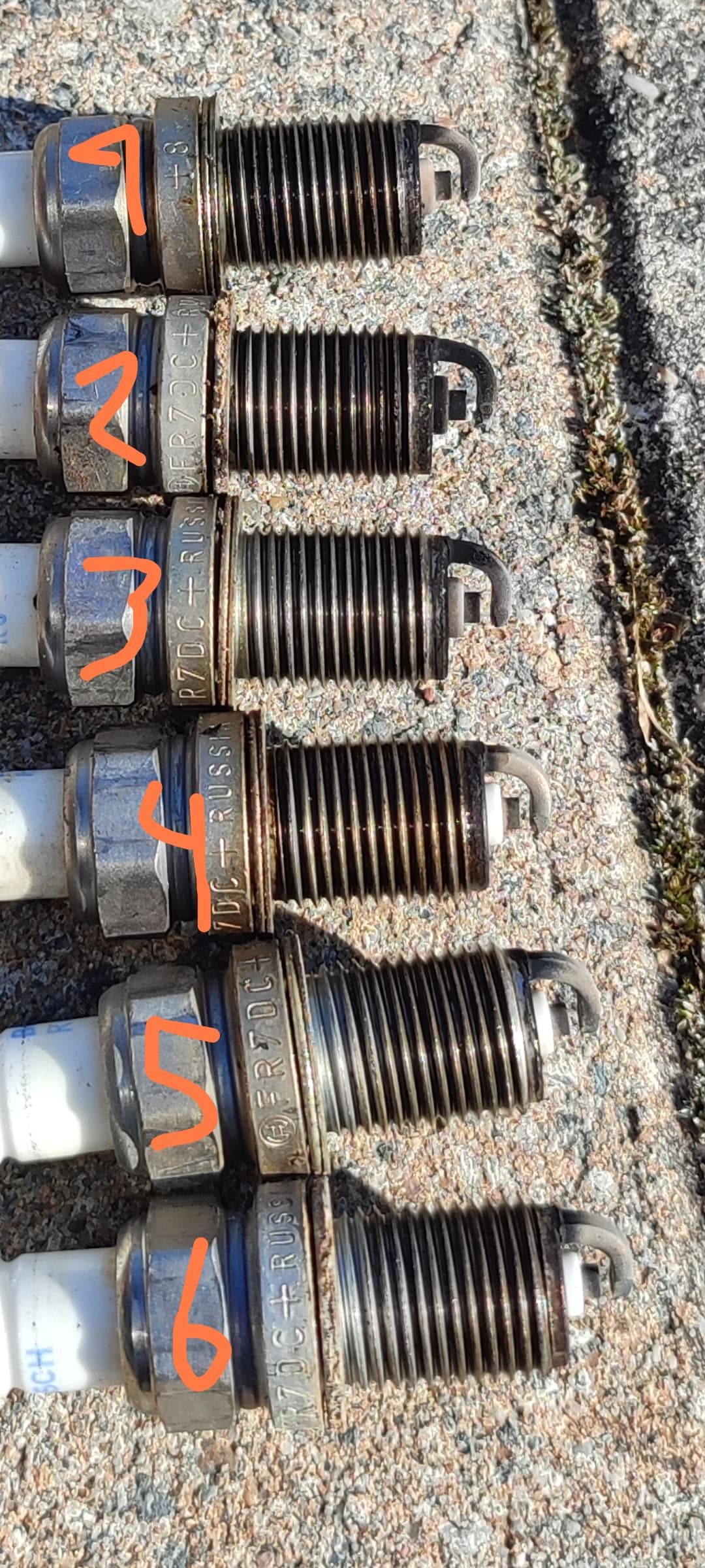 Black spark plug XJ40 Jaglovers Forums