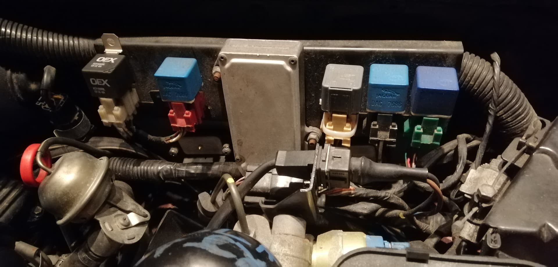 ID relays on bulkhead XJ40 Jaglovers Forums