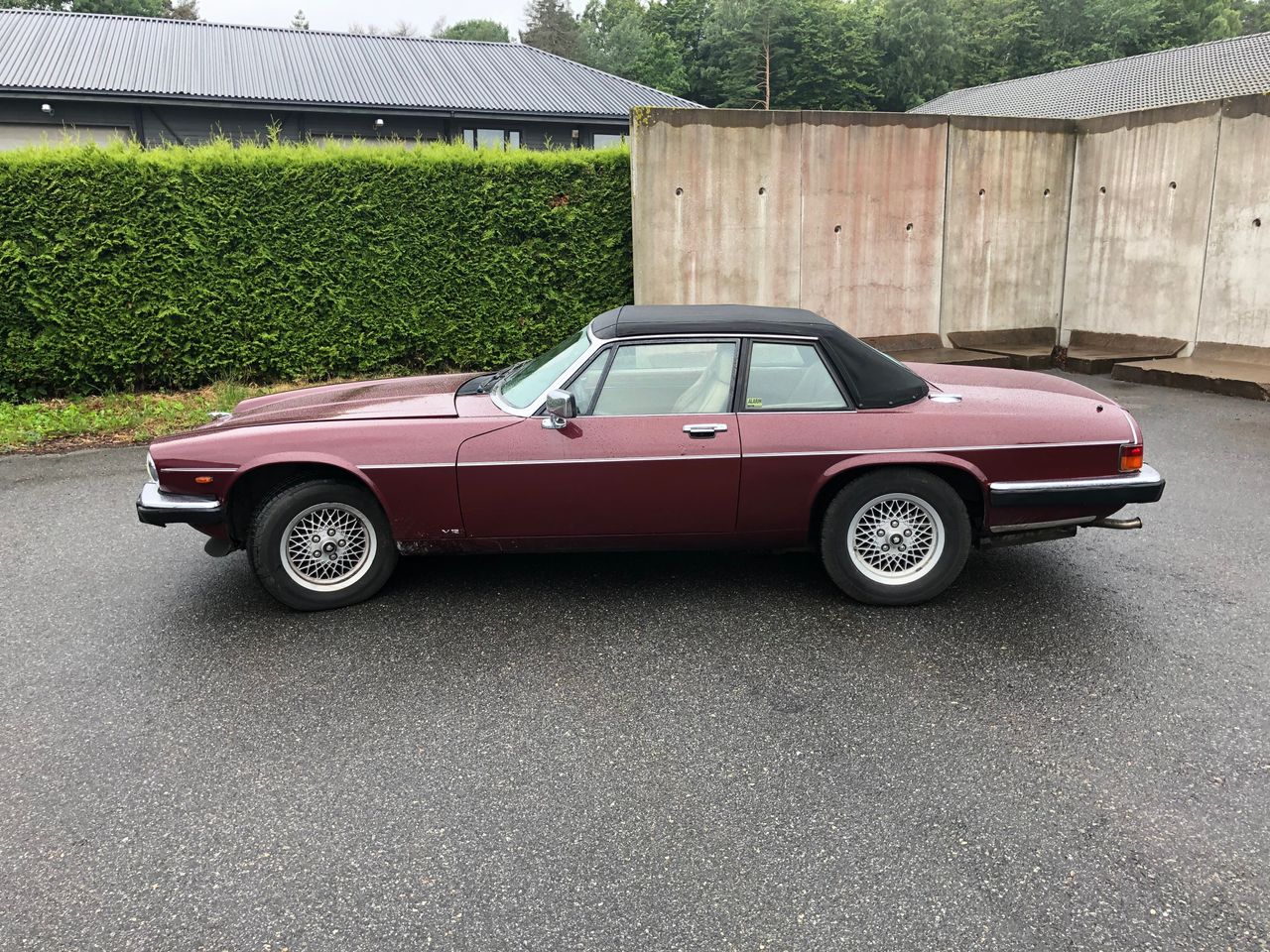 83 Xjs What is this 1983 XJS-C that's not a real factory one? - XJ-S - Jag ...