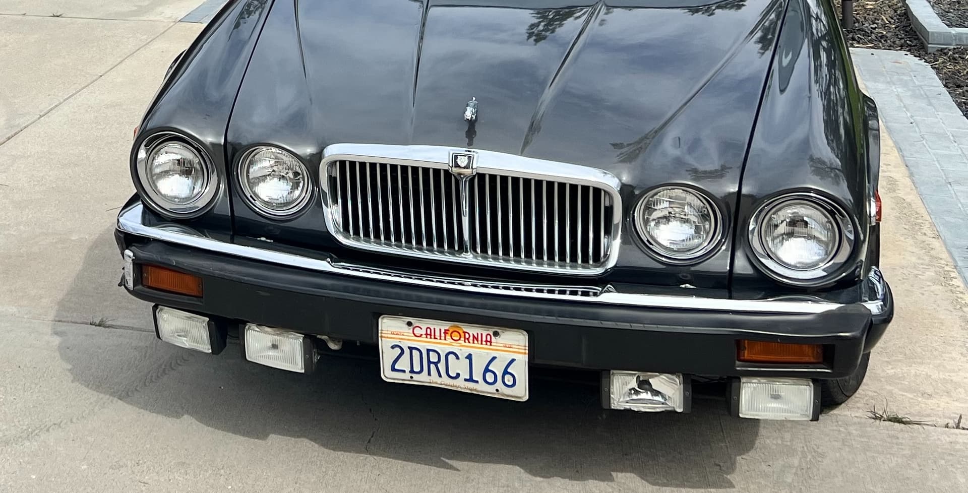 ジャガー XJ6 XJS XJ40 Fog Lamp Cover カバー3個 ジャガー XJ6 XJS XJ40 Fog Lamp Cover カバー3個（ジャガー|XJ
