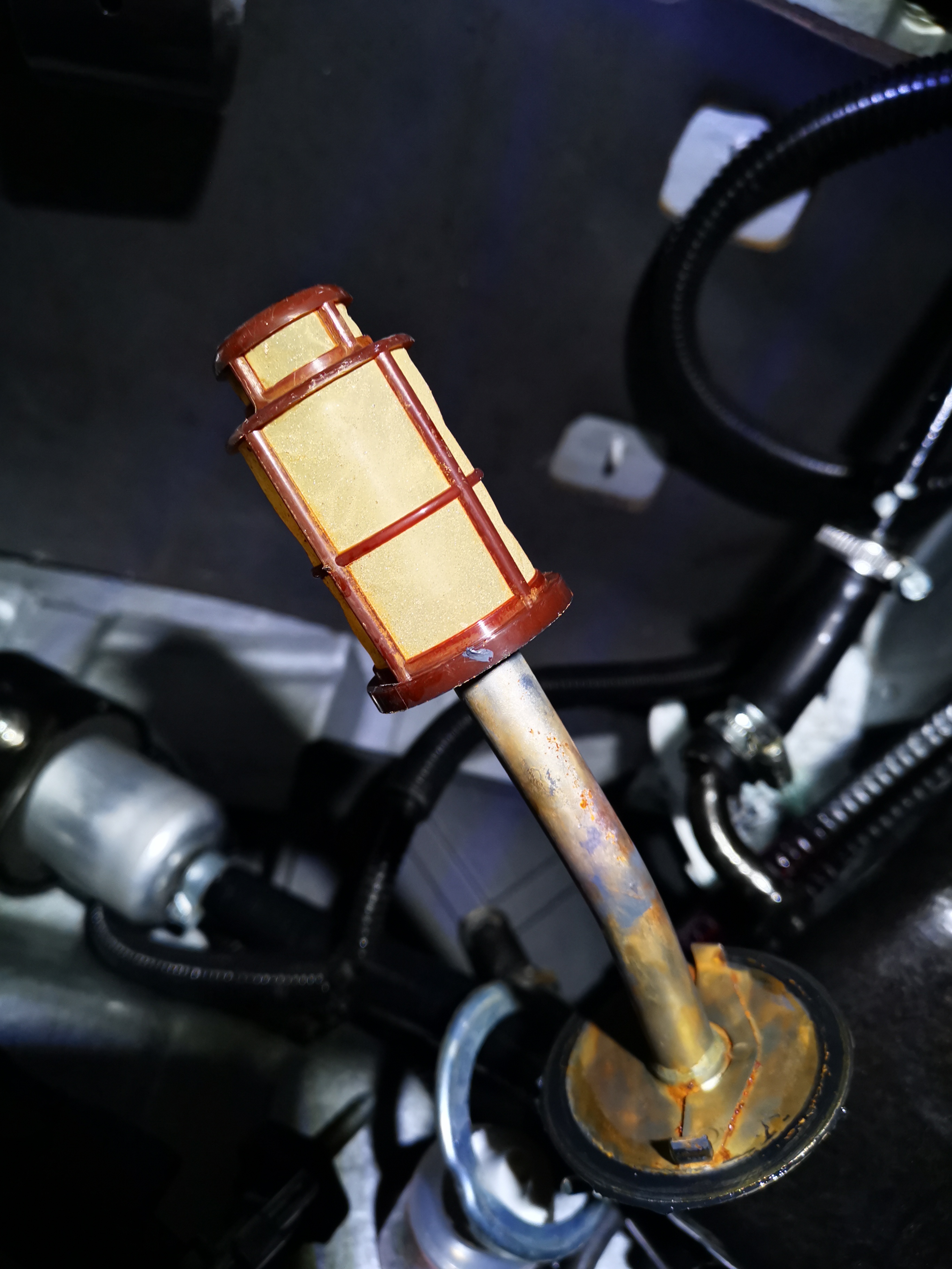 Fuel filter replacement 1995 V12 XJS Jaglovers Forums