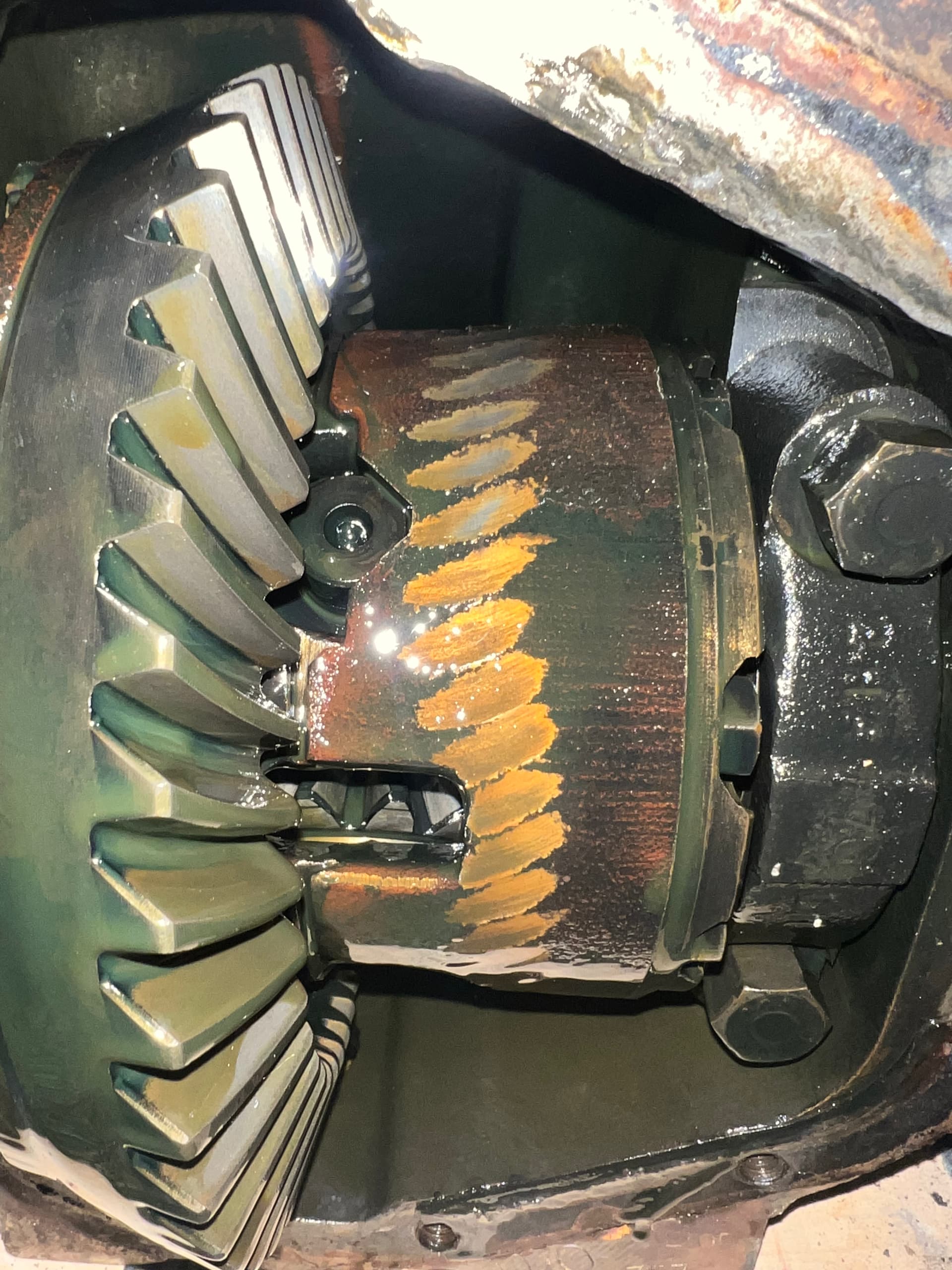 Differential internal scoring marks EType Jaglovers Forums