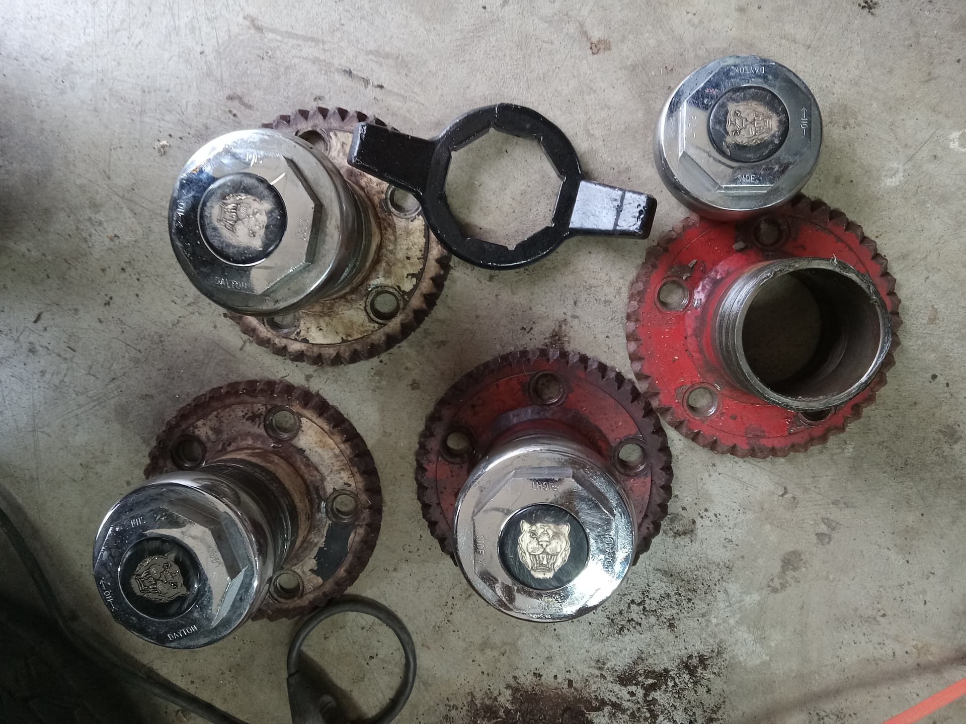 Dayton wire wheels, adapters, tool Classifieds Jaglovers Forums