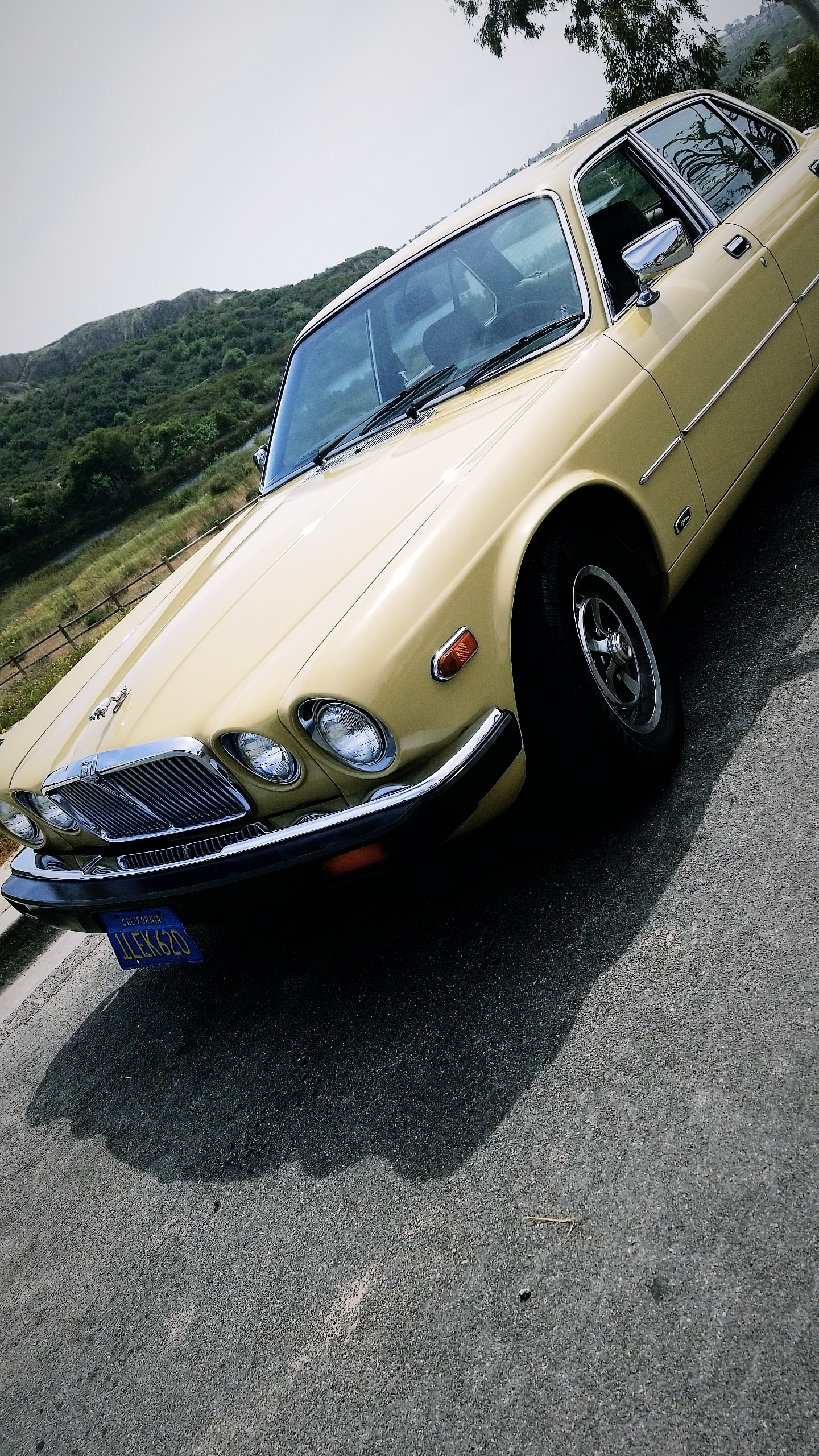 I Love My XJ6 SIII! What's Your Jag Story? - XJ - Jag-lovers Forums
