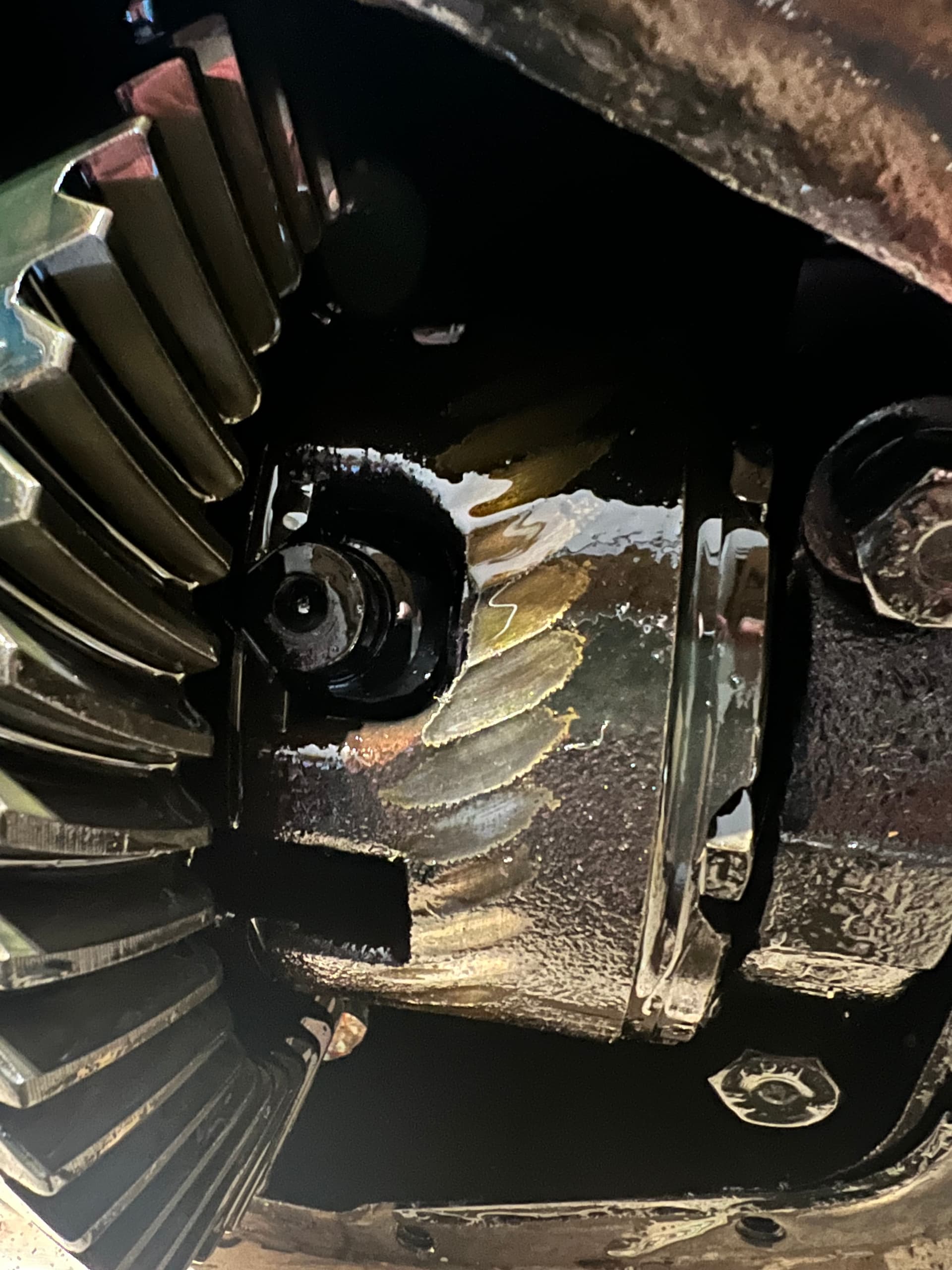 Differential internal scoring marks EType Jaglovers Forums