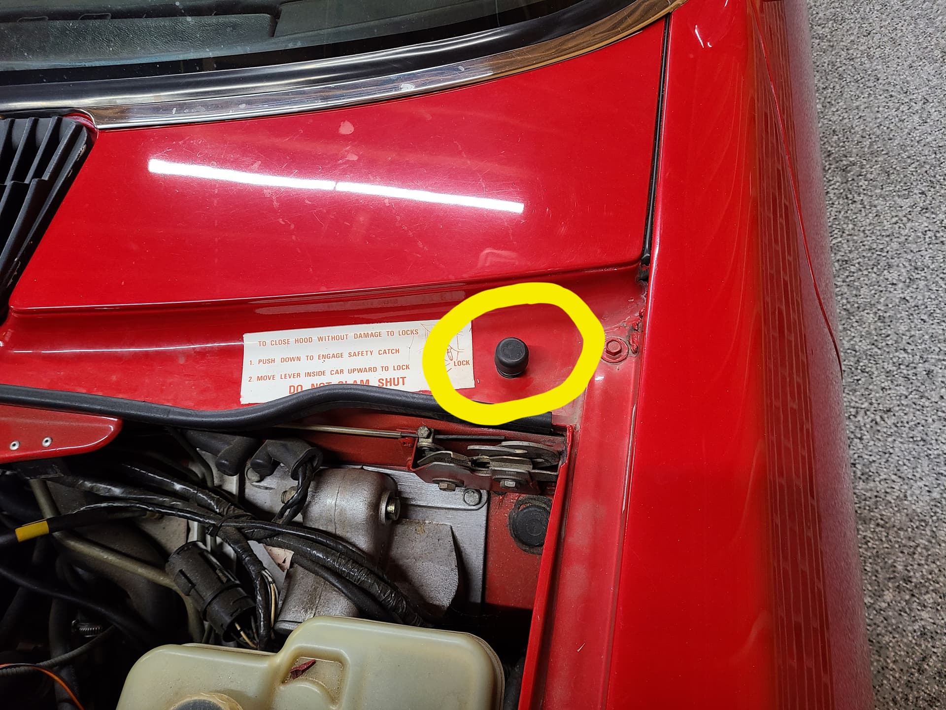 Hood misaligned XJS Jaglovers Forums